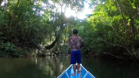 Steering longboat with pole  down calm river in jungle sunlight Borneo Sarawak Stock Footage 210980329