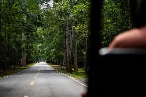 Steering through lush forest road traveling journey Stock Photos