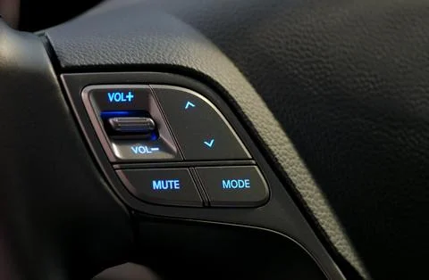 Steering wheel button Фото