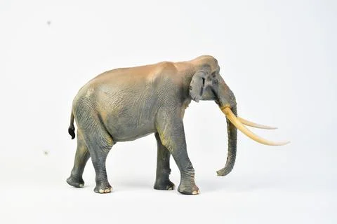 Stegodon animal on isolated background 스톡 사진
