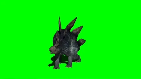 Stegosaurus Attacking on Green Screen 01 Stock Footage 221494790