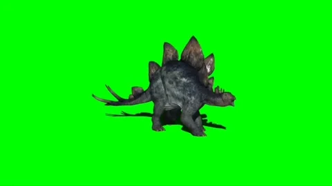 Stegosaurus Attacking on Green Screen 02 Stock Footage 221494789