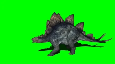 Stegosaurus Attacking on Green Screen 03 Stock Footage 221494815