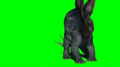 Stegosaurus Attacking on Green Screen Stock Footage 221494795