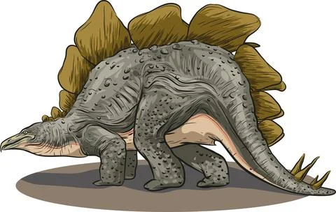 Stegosaurus Dinosaur Stock Illustration
