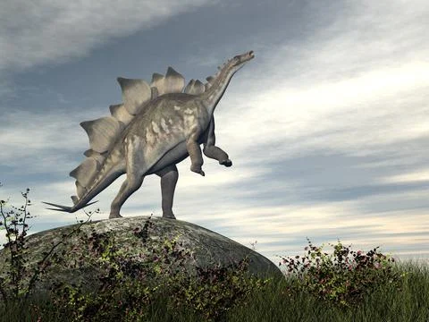 Stegosaurus dinosaur on a rock - 3D render Stock Illustration