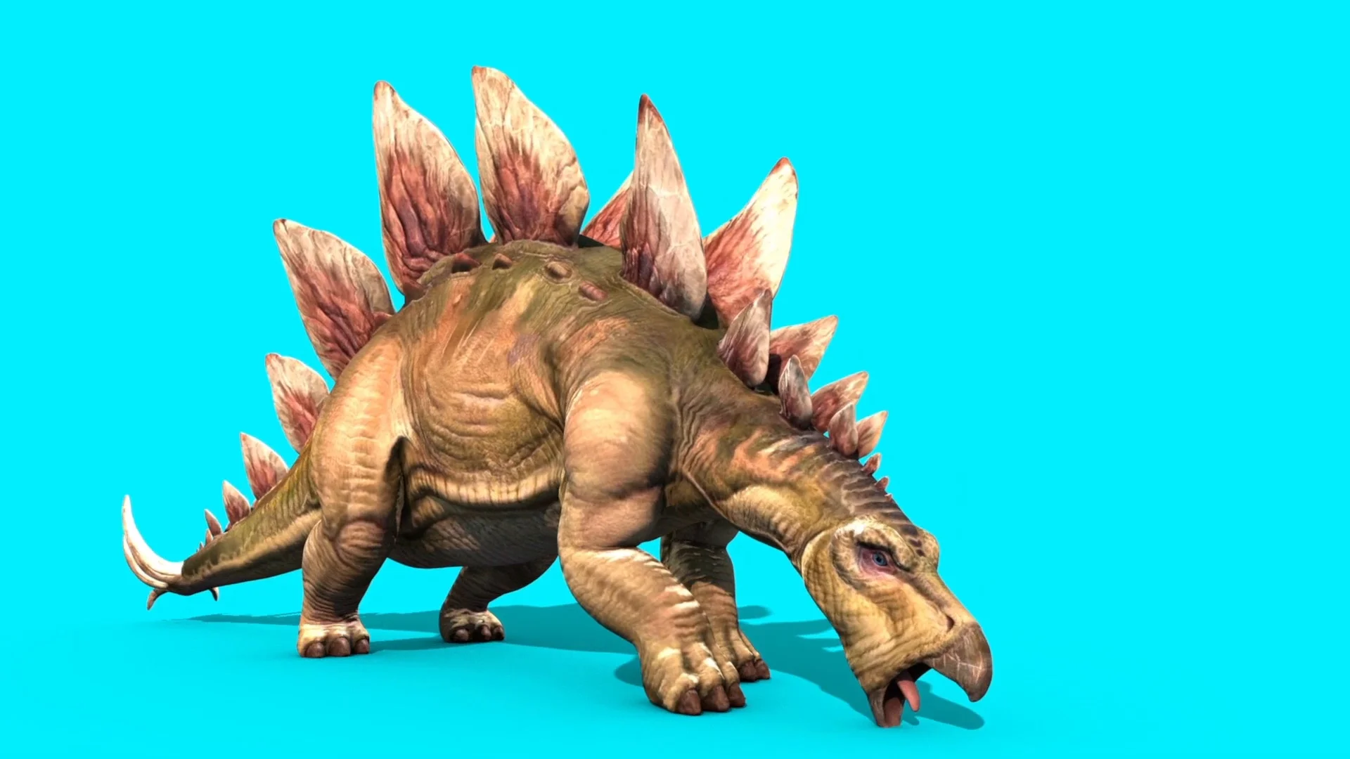 Stegosaurus 3D Dinosaur