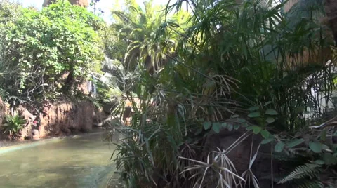 Stegosaurus Stock Footage 37460540