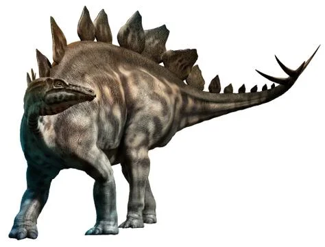 Stegosaurus Ilustración de archivo