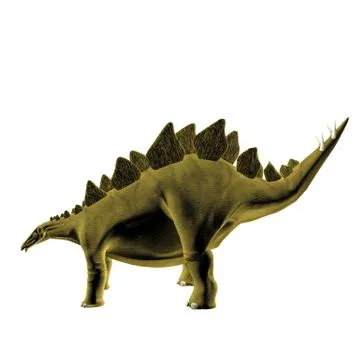 Stegosaurus Stock Illustration