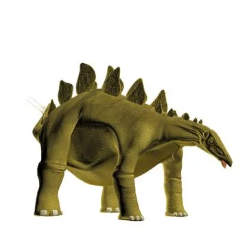 Stegosaurus Stock Illustration