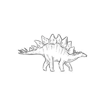 Stegosaurus illustration Stock Illustration