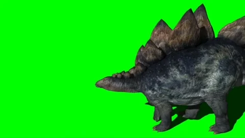 Stegosaurus Walking on Green Screen 02 Stock Footage 221494841