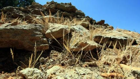 Steinig Stock Photos