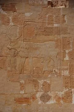  steinmauer in aegypten schoen verzierte mauer aus stein mit vielen figure... Stock Photos