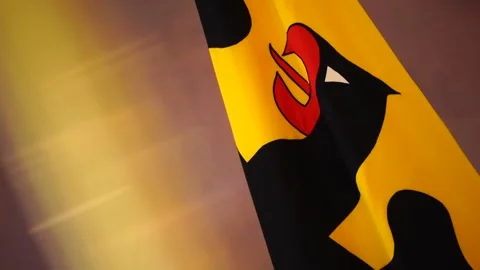 Steinmeier to run for second term as German president, ALEMANIA, DE - 28 May 202 Stock Footage 204032163