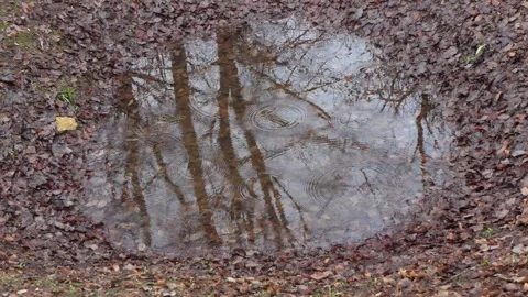 Stele of the Basques Douaumont Stock Footage 263236440