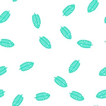 Stelizia tropical leaf vector seamless pattern Stock Illustration