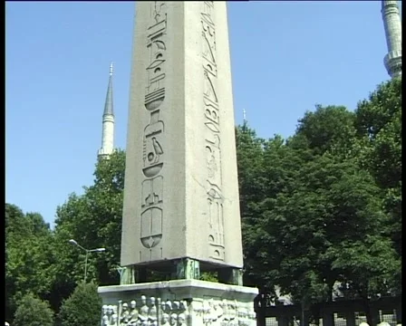 Stella Stock Footage 944290