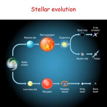 Stellar evolution. Life cycle of a star. Stock Illustration