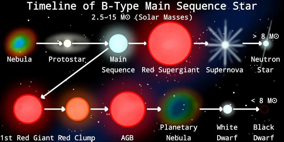 Stellar Evolution Timeline of B-Type Main Sequence Star (Blue-White Star) Stock Illustration