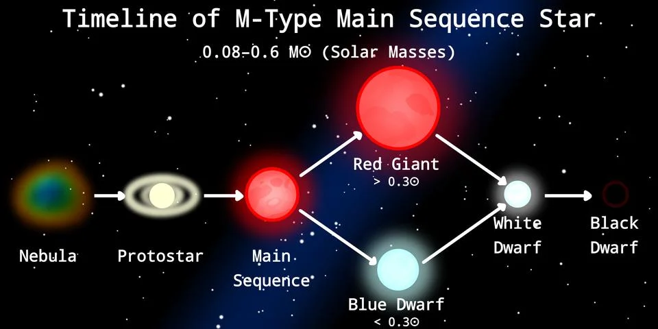Stellar Evolution Timeline of M-Type Main Sequence Star (Red Dwarf Star) Stock Illustration