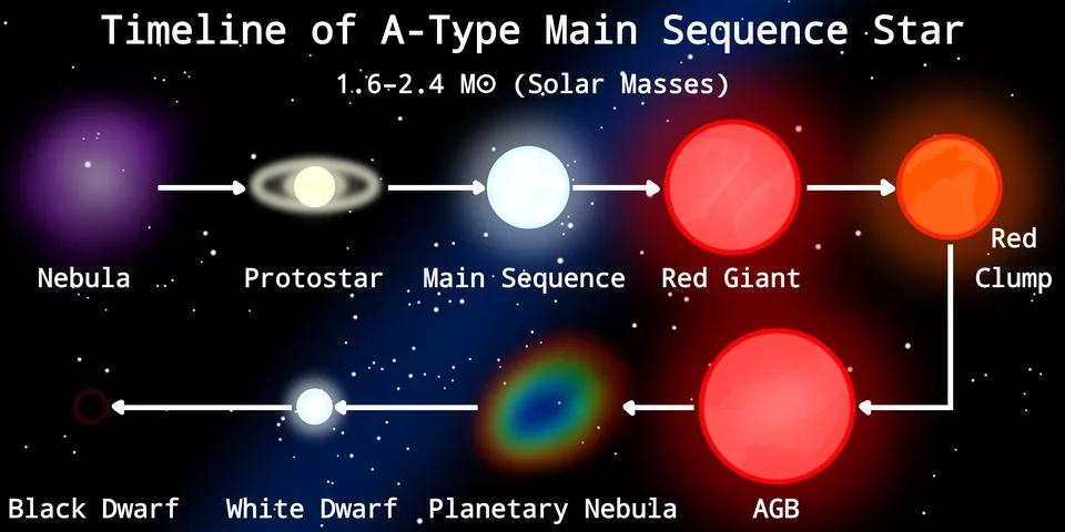 Stellar Evolution Timeline of A-Type Main Sequence Star (White Star) Stock Illustration