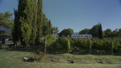 Stellenbosch Mountains at Sunset | Rec. 709 Stock Footage 308463280