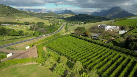 Stellenbosch, pull back over vineyard, dramatic mountains in background Stock Footage 336861417