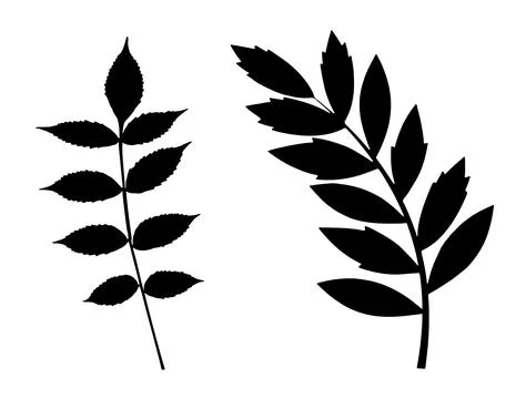 STEM AND LEAF SILHOUETTE Stock Illustration