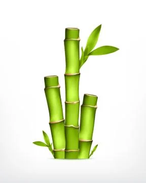 Stem of bamboo Stock Illustration