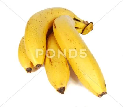 Stem of bananas Stock Photos