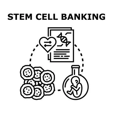 Stem cell banking concept for medical research and therapy Stock Illustration