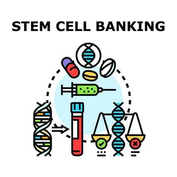 Stem cell banking future medical research technology process Stock Illustration