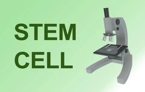 STEM CELL concept Stock Illustration