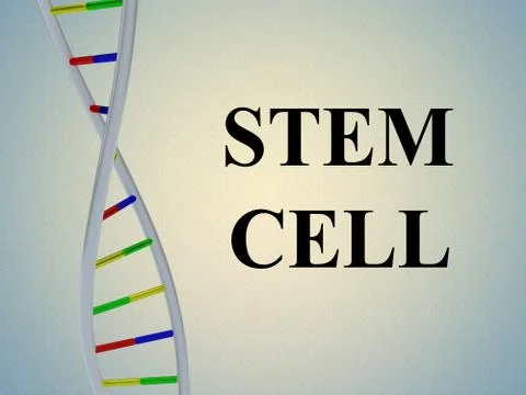 STEM CELL concept イラスト素材