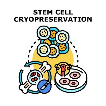Stem cell cryopreservation process and therapy illustration Stock Illustration