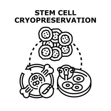 Stem cell cryopreservation process and therapy illustration Stock Illustration