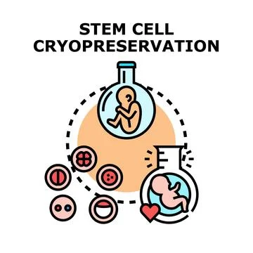 Stem cell cryopreservation process for future medical use Stock Illustration