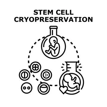 Stem cell cryopreservation process for future medical use Illustrazione stock