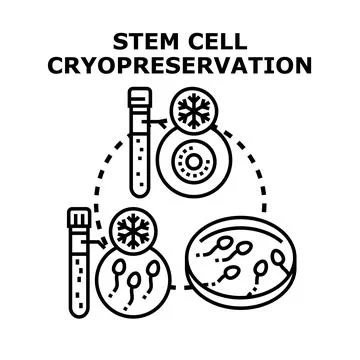 Stem cell cryopreservation process for medical research Stock Illustration