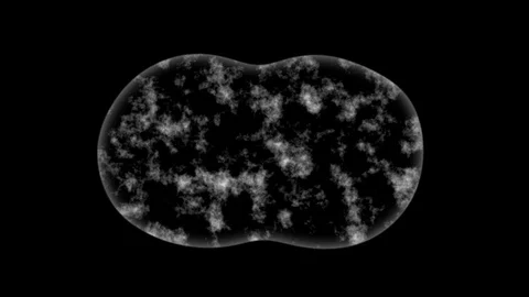 Stem cell divide. Alpha+RGB Cells Dividing in black & white.  Stock Footage