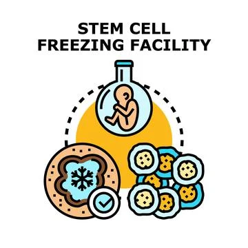 Stem cell freezing preservation storage process technology Stock Illustration