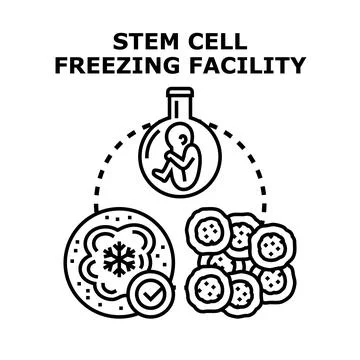 Stem cell freezing preservation storage process technology Stock Illustration