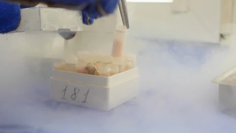 Stem Cell frozen Stock Footage