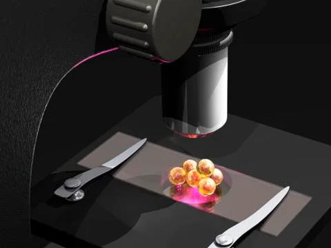 Stem cell research, conceptual artwork Stock Illustration