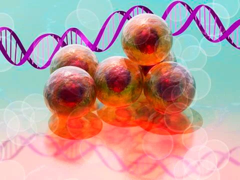 Stem cell research, conceptual artwork Stock Illustration