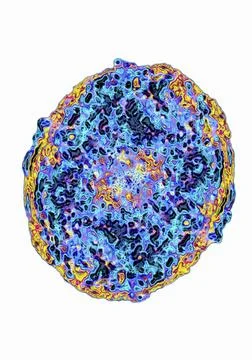  Stem cell Stem cell. Computer image based on an optical microscope image ... Stock Photos