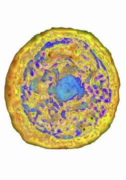  Stem cell Stem cell. Computer image based on an optical microscope image ... Stock Photos