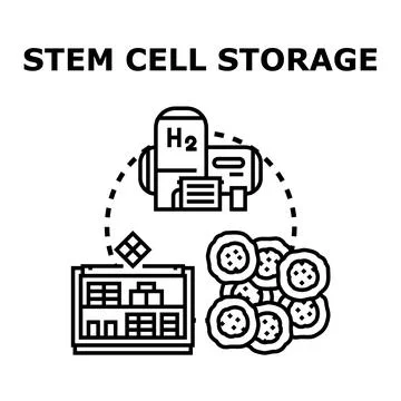 Stem cell storage preserving human biological material Stock Illustration